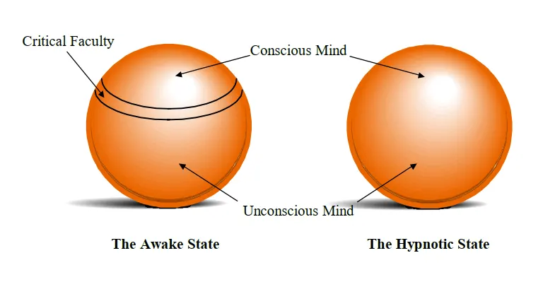 critical factors of the conscious mind