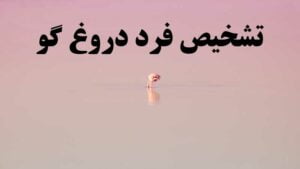 تشخیص فرد دروغگو